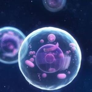 Célula y proteínas