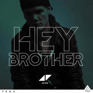 Hey brother by Avicii