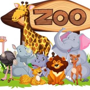 animals