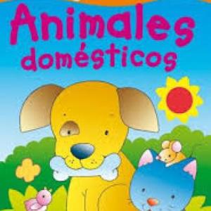 Animales domésticos 