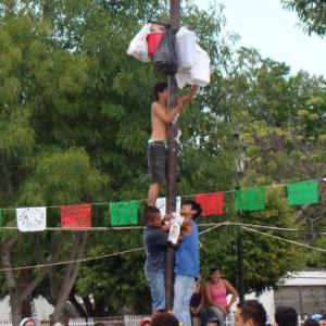 Palo1
