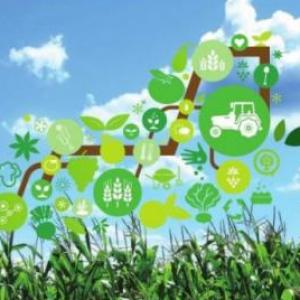 Imagen de portada del videojuego educativo: CIENCIAS NATURALES , de la temática Medio ambiente