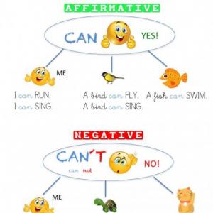 CAN - CAN´T