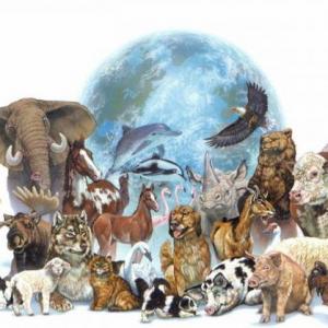 ANIMALES VIVÍPAROS O OVÍPAROS