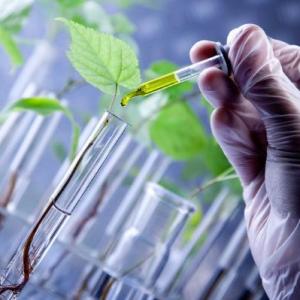 Biotecnologias