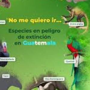Busquemos el hogaar de los animales