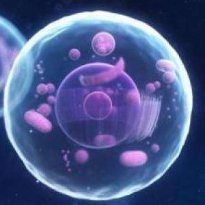 PARTS OF THE CELL