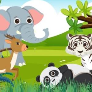Campo saberes y pensamiento científico Contenido: Exploración de la diversidad natural que existe en la comunidad PDA III