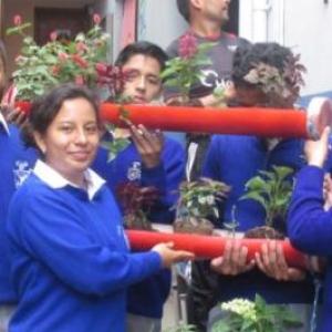Las Plantas Ornamentales 