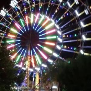 Portada del juego feria de san lucas tolimán – Costumbres