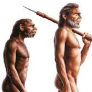Imagen de portada del videojuego educativo: La evolución humana, de la temática Ciencias