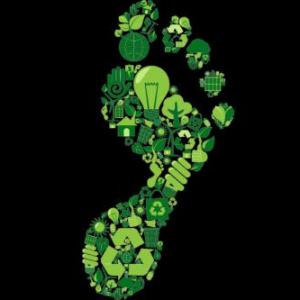 Impacto Ambiental
