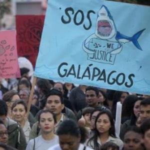 Illegal Fishing in the Galapagos Islands