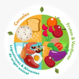 memorama del plato del bien comer