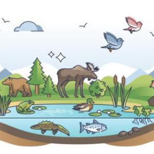 Características de los animales