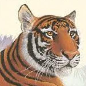 Animales