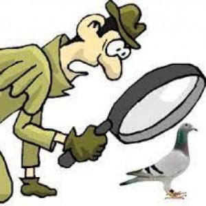 investigación cuantitativa.