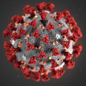 El Coronavirus y Números Reales