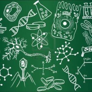 Trivia Biología