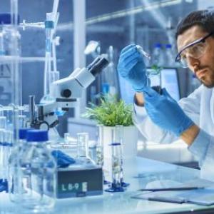 laboratorio