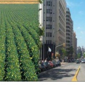 Ciudad y campo