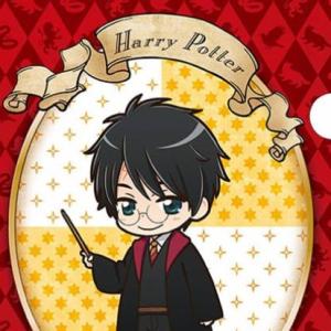HARRY POTTER AND LAURA