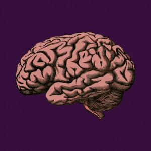 NEURORAMA