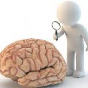 agenesis of the corpus callosum
