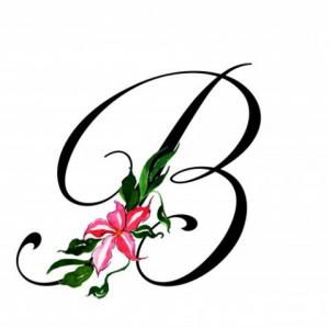 Uso de la B