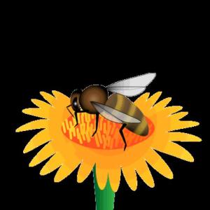 Reproducción asexual