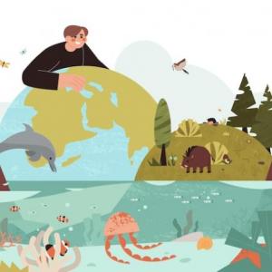 Eco Trivial