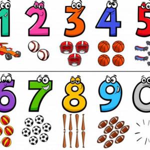 NUMEROS
