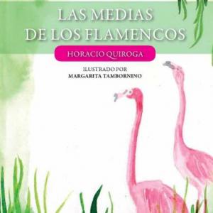 Imagen de portada del videojuego educativo: Cuento: Las medias de los flamencos , de la temática Lengua