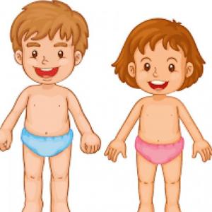 body parts