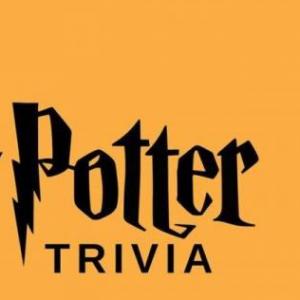 Harry Potter memoria