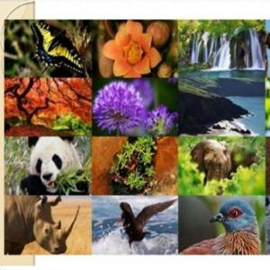 LA NATURALEZA