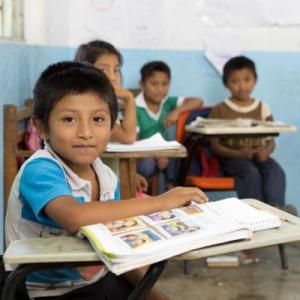 LA OCA DE LA NUEVA ESCUELA MEXICANA