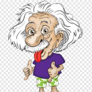 the challenge of fisica