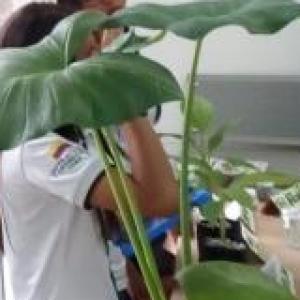 Trivia Biotecnología