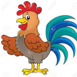 4 Animales (gato, perro, gallo, pato)
