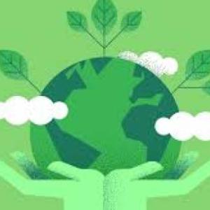 El medio ambiente
