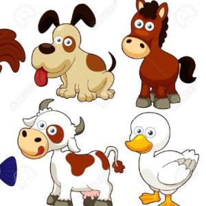 Jugando con los animales domésticos