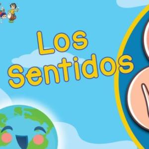 LOS SENTIDOS