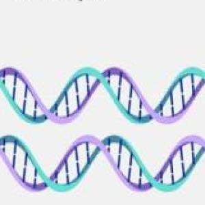 TRIVIA DEL DOGMA DE LA BIOLOGÍA MOLECULAR