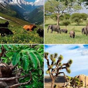 LUGARES Y CARACTERISTICAS
