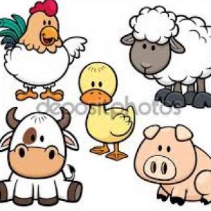 Animales de la Granja