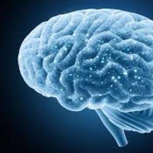 Imagen de portada del videojuego educativo: Hemisferios cerebrales, de la temática Ciencias