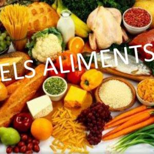 Portada del juego Els aliments – Idiomas
