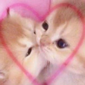 Happy Birthday, love ??