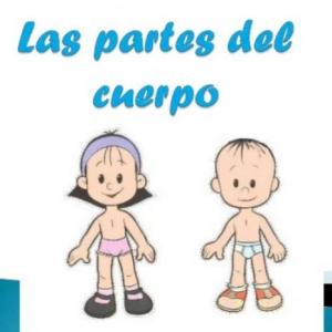 Partes del juego